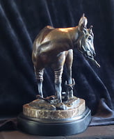 Okapi