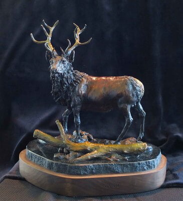 Wapiti