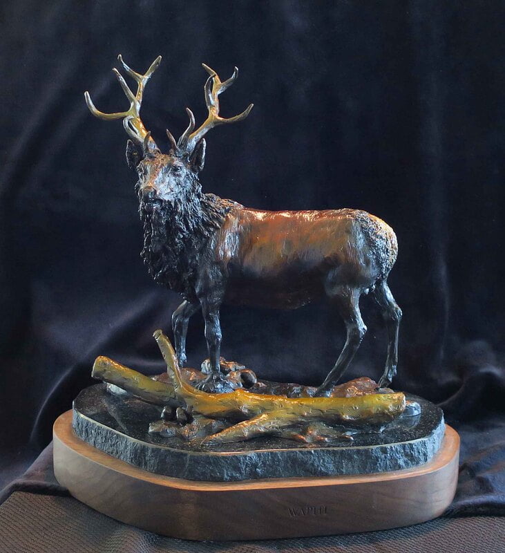 Wapiti